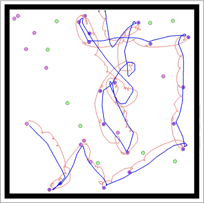 drawing